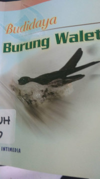 Budidaya Burung Walet