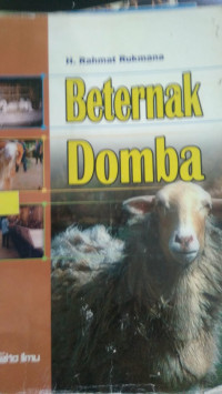 Beternak Domba