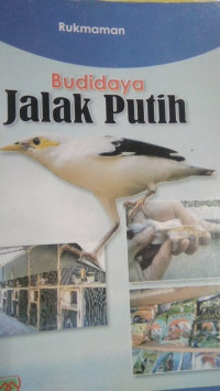 Budidaya Jalak Putih