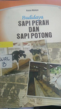 Budidaya Sapi Perah dan Sapi Potong