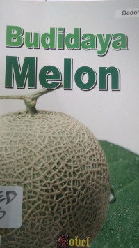 Budidaya Melon