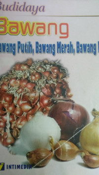 Budidaya Bawang Bawang Putih, Bwang Merah, Bawang Bombay