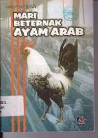 Mari Beternak Ayam Arab